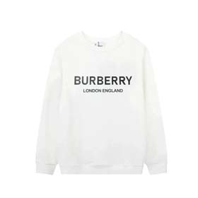 BURBERRY（35 styles)-2272