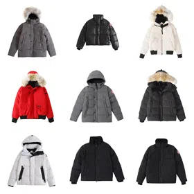 Canada Goose Wyndham Series Windproof Waterproof Parka Zipper Down Jacket-4282