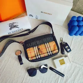 Burberry classic check camera bag-4641
