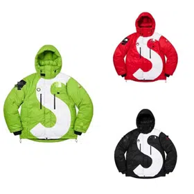 Supreme x The North Face color-blocked hooded down jacket-6417