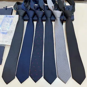 Christian Dior CD All-Over Print Silk Business Tie-6552