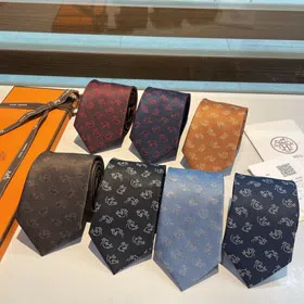 Hermès Rabbit Jacquard Silk Business Tie-6576