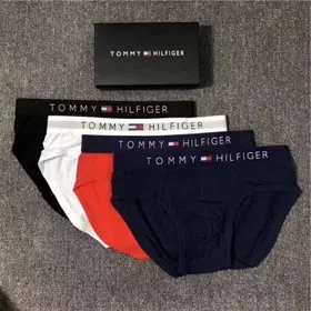 Tommy Hilfiger Logo Flag Triangle Briefs-6684
